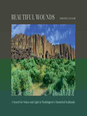 cover image of Beautiful Wounds